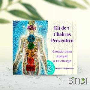 Kit de orgonitas Regular